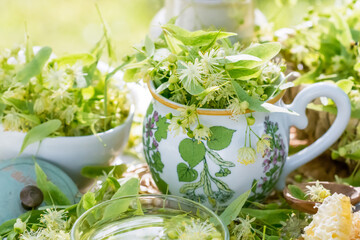 Freshly gathered linden flowers in cup outdoors in nature background, herbs and alternative medicine concept