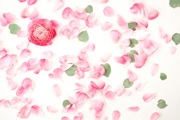 Petals of flowers, roses and ranunculus. Valentine's day romantic background . Space for text.