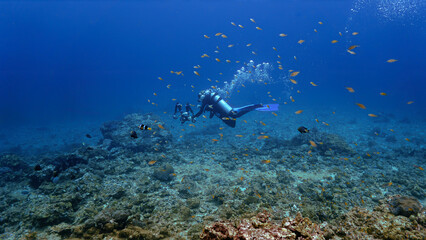 Naklejka na ściany i meble Underwater photographer at a coral reef. From a scuba in Thailand.