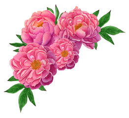 Watercolor bouquet of flowers. Hand-painted. Flower arrangement on a white background.
