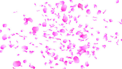 Pink rose petals on a transparent background, in png format. 3D render . Effect for valentine's day and 8 March. 