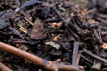 Macro shot of dry tea leaves