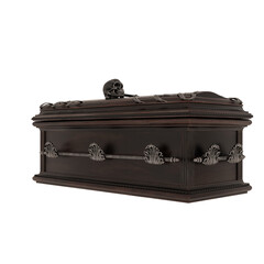 3d rendering dark fantasy skull vampire coffin