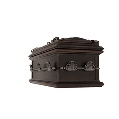 3d rendering dark fantasy skull vampire coffin