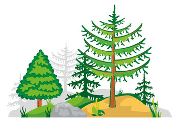 Rocky ground wiith growing coniferous trees. Nature landscape