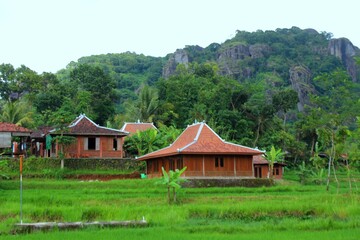 house in green valley