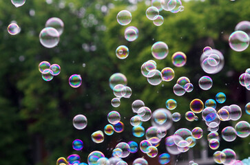 Lots of soap bubbles in the air