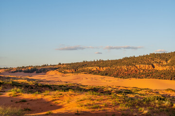 Fototapeta premium utah state park, coral pink sand dunes