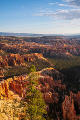 bryce canyon view
