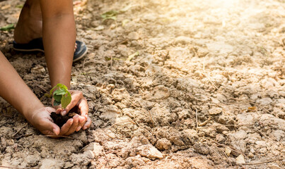 hand touching planting small plants with soil environmental science with new future technology business planning development and conservation protection