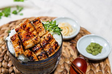 Eel over rice
Grilled Eel
eel dish
sea ​​eel
freshwater eel