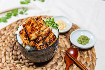 Eel over rice
Grilled Eel
eel dish
sea ​​eel
freshwater eel