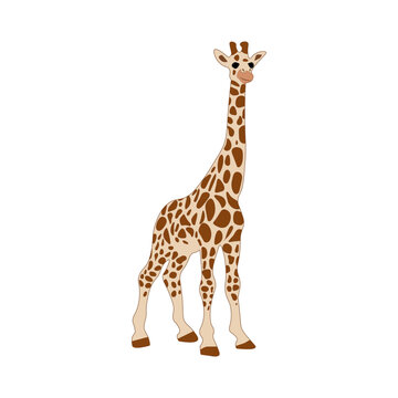 Giraffe image isolated on white background cute cartoon image 