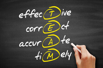 TEAM - Effective, Correct, Accurate, Timely, acronym business concept.