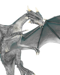 dragon floating close up