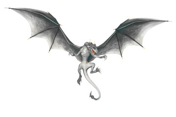 Fototapeta premium dragon