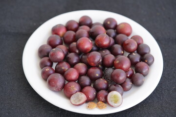 Camu-camu fruits (Myrciaria dubia) Myrtaceae family which strengthens the immune defense system and thus maintains her health. The vitamin content is about 35%. Rio Negro river bank, Amazonas - Brazil