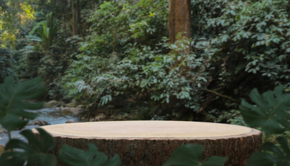 Wood podium table top in outdoors fresh green lush tropical forest nature landscape...