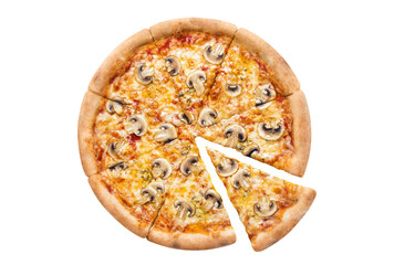 Delicious pizza with champignon mushrooms, tomato sauce and mozzarella, cut out