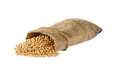 soybeans in sack isolated on white background. Grains are scattered out of the bag.