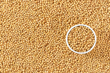 ceramic plate with soybeans on a soybeans background close-up top view.