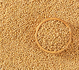 wooden plate with soybeans on a soybeans background close-up top view.