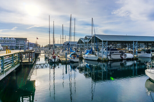 Edmonds Boats In Marina 6