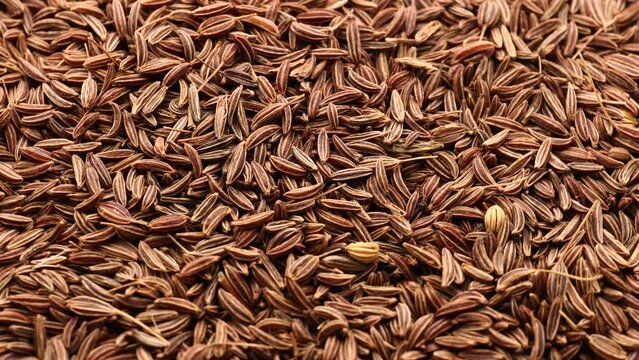 Close up of cumin, rotation in circle. cumin seeds fall on a rotating 360 stack. selective focus.