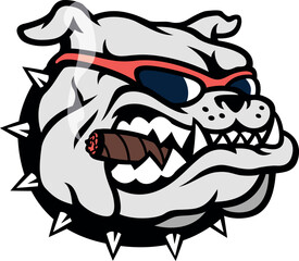 Aggressive Bulldog Wearing the Sunglasses and Smoking a Cigar
