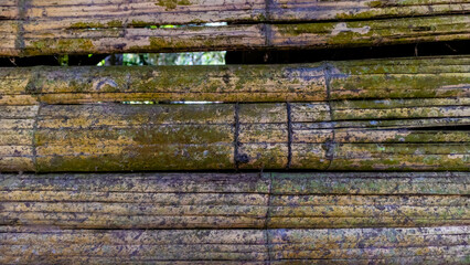 mossy bamboo wall texture as a background