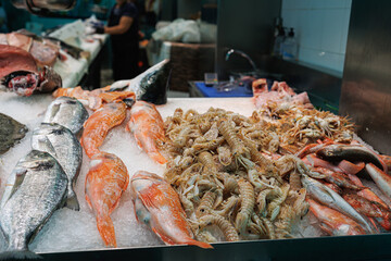 Market Stall with Freshly Caught Fish and Shellfish