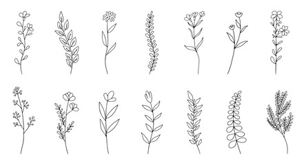 doodle flower set, hand drawn flowers, plants, botanical set, vector illustration