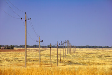 A row of power line supports on the steppe field with dry yellow grass at the background of blue evening sky and distant wood. Beautiful scenic view in Kalmykia, surroundings of Elista, South Russia