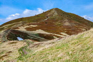 beautiful mountain glade during spring, colorful mountain with plants coming back to life; spring landscape of european mountains
