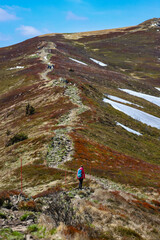 little silhouette of hiker girl walking up the massive mountain during spring; melting snow and blooming plants during early spring in european mountains