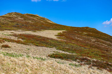 spring panorama of colorful mountains; vegetation coming back to life; european mountains covered with colorful plants