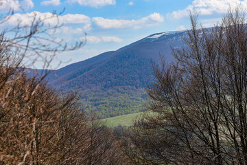spring panorama of colorful mountains; vegetation coming back to life; european mountains covered with colorful plants