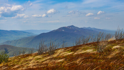 colourful panorama of mountains during spring  mountain plants coming to life and blooming in the European mountains, bieszczady, poland © Lens Down Under