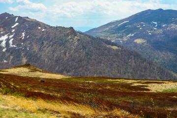 spring panorama of colorful mountains; vegetation coming back to life; european mountains covered with colorful plants
