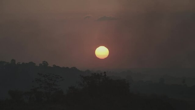 Por-do-sol nas arvores