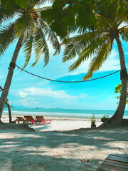 Coconut Tree on Beach.