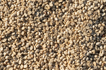 background of large amount of coffee beans that are harvested and then sun dried is one of processes for producing coffee beans to be roasted and packaged into roasted coffee bean products for sale.