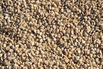 background of large amount of coffee beans that are harvested and then sun dried is one of processes for producing coffee beans to be roasted and packaged into roasted coffee bean products for sale.