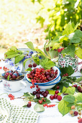 Freshly gathered juicy cherries, blueberries, other berries in white  cup in garden on sunny day close up, berries on  white wooden table, leaves and tablecloth background, harvest of berries concept