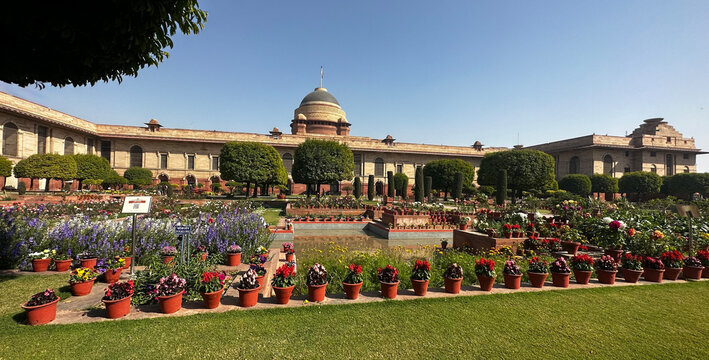 mughal garden delhi or Amrit Udyan , Rashtrapati Bhawan, President's Estate, New Delhi, Delhi