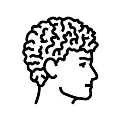 curly male hairstyle male line icon vector illustration