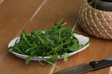 arugula salad in plate with knife closeup photo on kitchen table