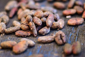 grãos de cacau, itacaré, bahia