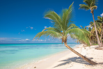 Obraz na płótnie Canvas Tropical paradise beach with white sand and coconut palms. clear blue water on Saona Island in Dominican Republic. travel tourism wide panorama background concept