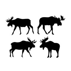 Best vector moose silhouette pack